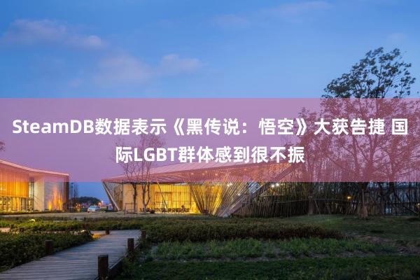 SteamDB数据表示《黑传说：悟空》大获告捷 国际LGBT群体感到很不振