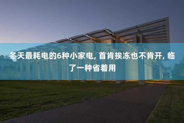 冬天最耗电的6种小家电, 首肯挨冻也不肯开, 临了一种省着用