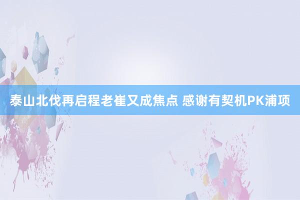 泰山北伐再启程老崔又成焦点 感谢有契机PK浦项