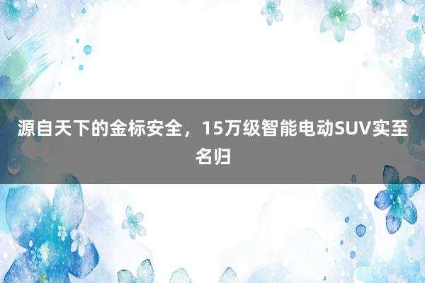 源自天下的金标安全，15万级智能电动SUV实至名归